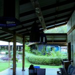 Rest area at Blue Osa.