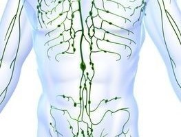 Map of lymphatic system