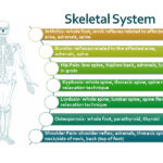 NancyCulverClassSlideExample